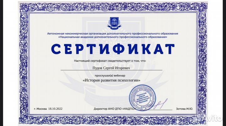 Кризисный психолог