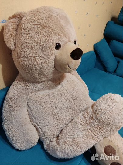 Большие плюшевые медведи