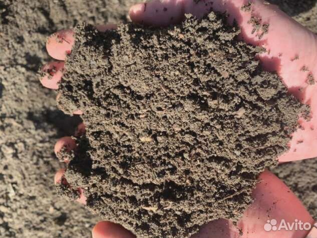 Грунт 40%, конский перегной 30%, торф 30% - смесь