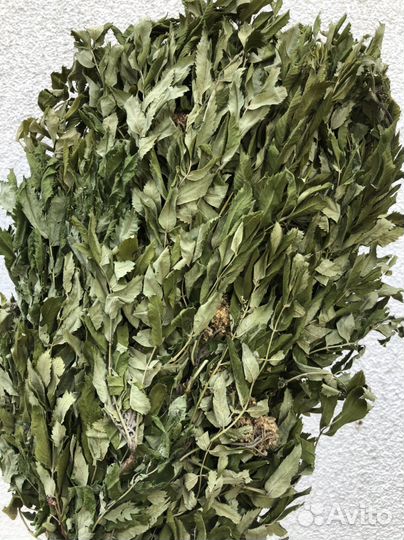 Веник рябиновый для бани