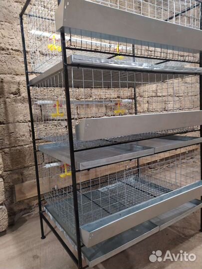 Клетки для бройлеров