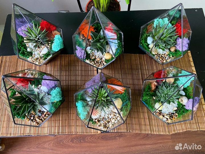 Корпоративные подарки. Флорариум. Цветы