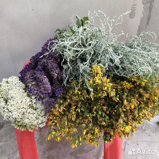 Лечебные травы Кубани