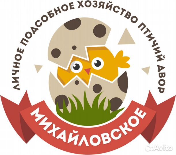 Цыплята, гусята, утята, цесарята, индюшата