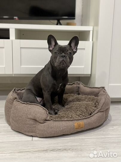 Лежанка для собак и кошек бу