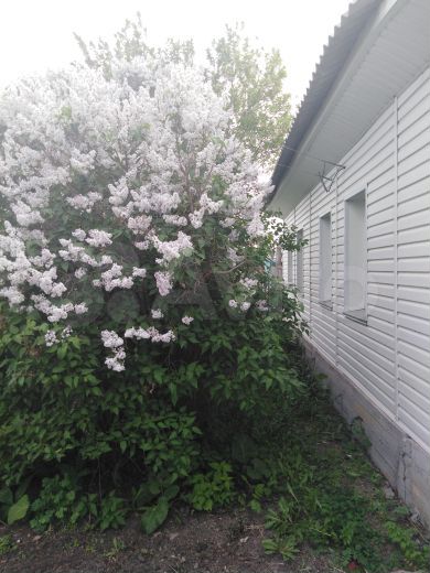 Дом 62 м² на участке 7 сот.