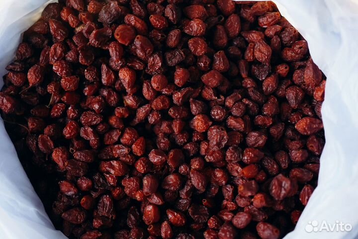 Шиповник доставка