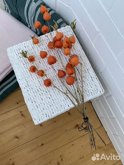 Физалис сухой