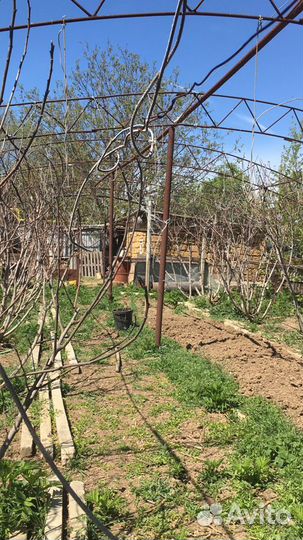 Две Теплицы металлические