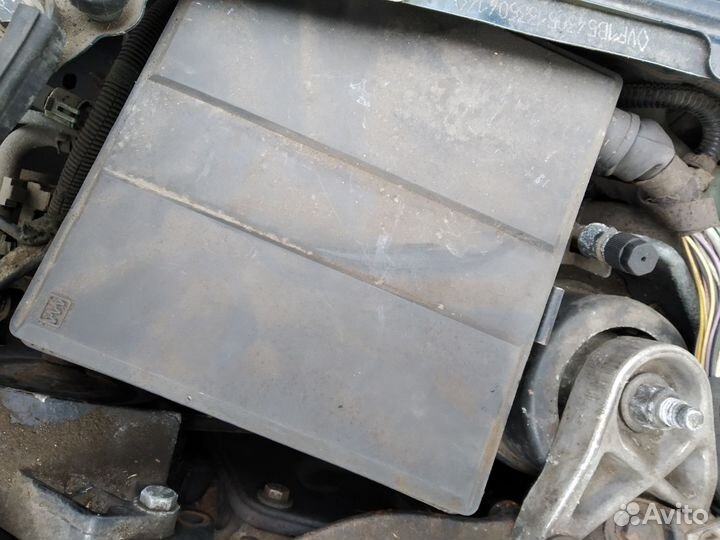 Мозги эбу Рено Сафран Шафран