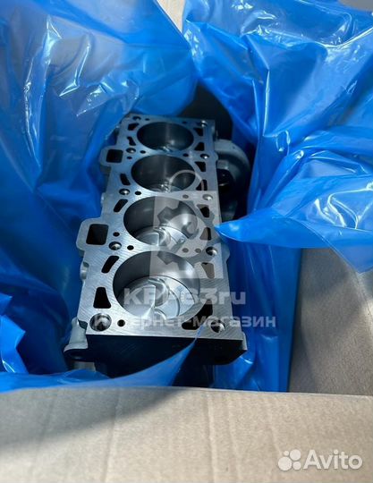 Блок цилиндров 11189 в сборе Ларгус