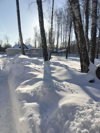 Участок 25 сот. (ИЖС)