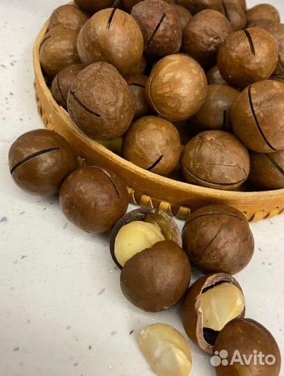 Макадамия орех