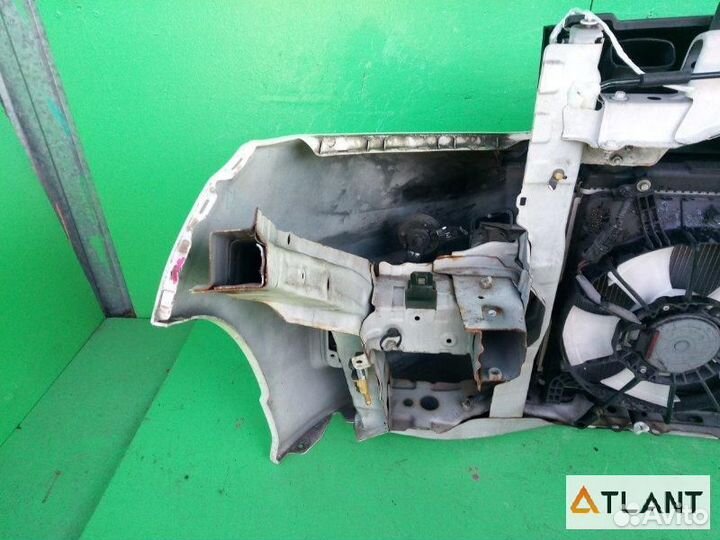 Ноускат honda freed spike