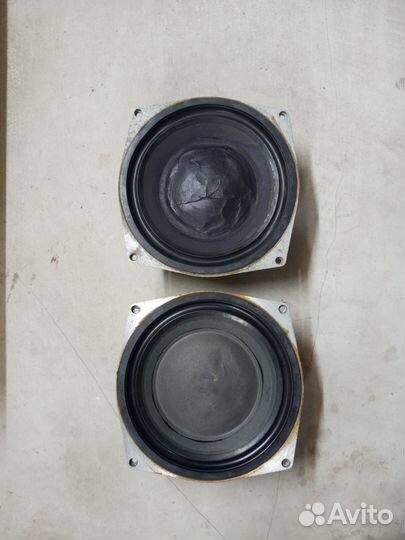Динамики 75гдн-л1