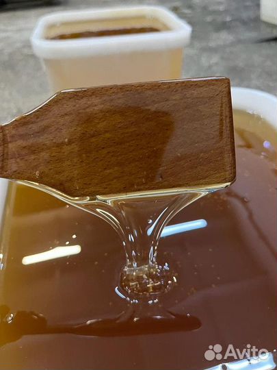 Майский мёд. Свежий, оптомКачка 2023г