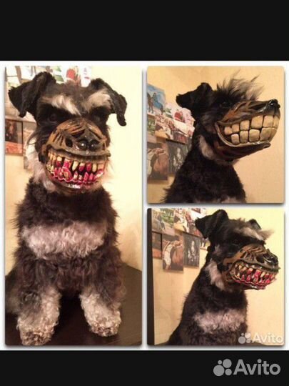 Намордник для собаки