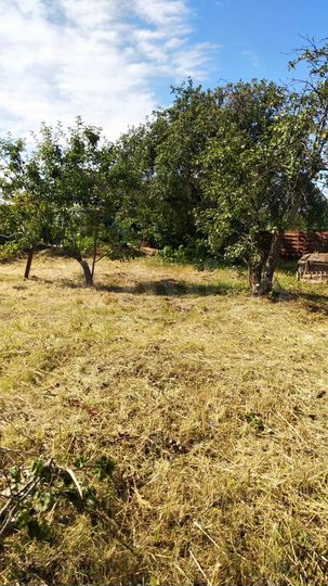 Дом 20 м² на участке 6 сот.