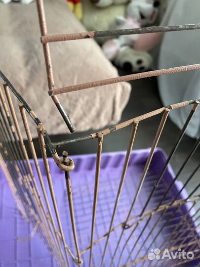 Клетка для крупных грызунов