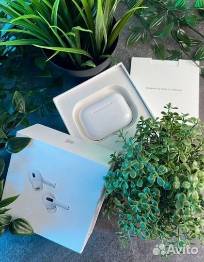 AirPods Pro 2 / Доставка до двери / Гарантия