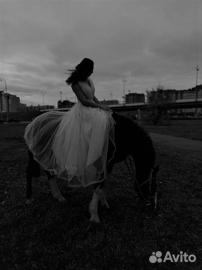 Прокат лошадей на ваш праздник