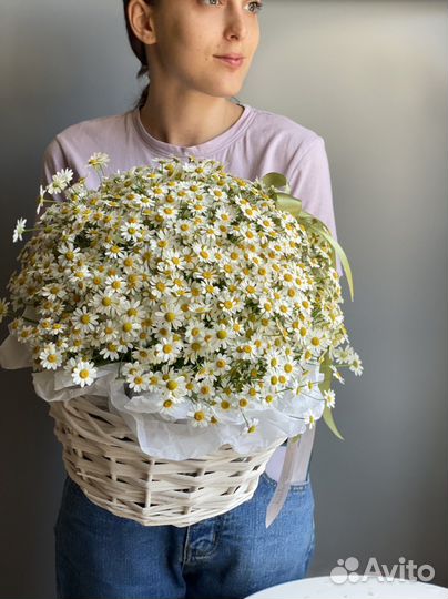 Ромашки цветы букеты
