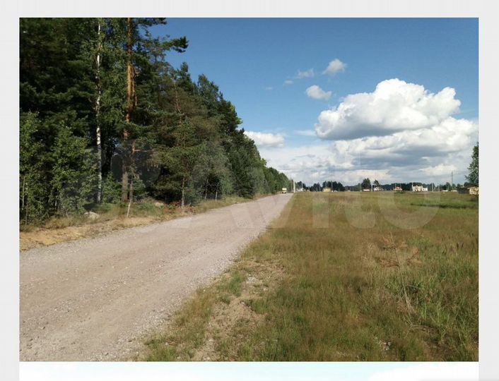 Участок 11 сот. (СНТ, ДНП)