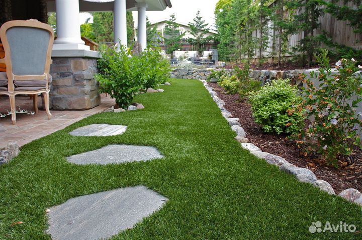 Газонная трава