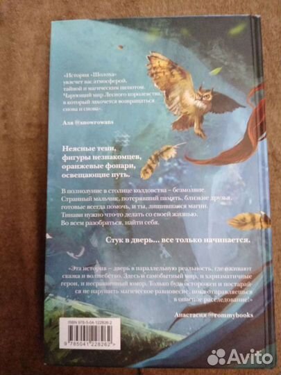 Антонина Крейн. Шолох. Теневые блики