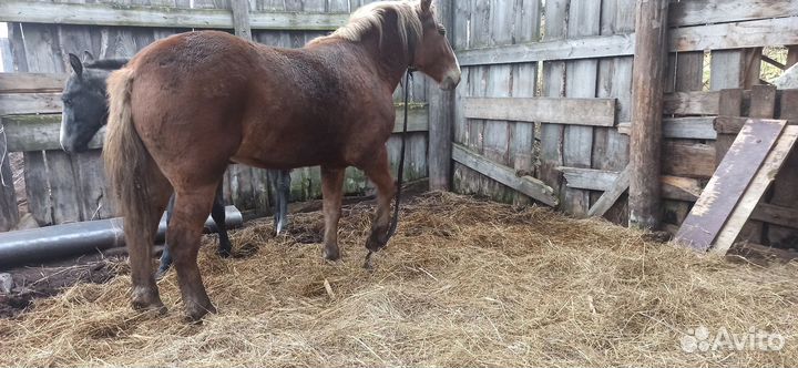 Советский тяжеловоз