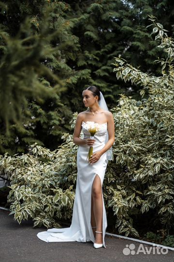 Фотограф и видеограф