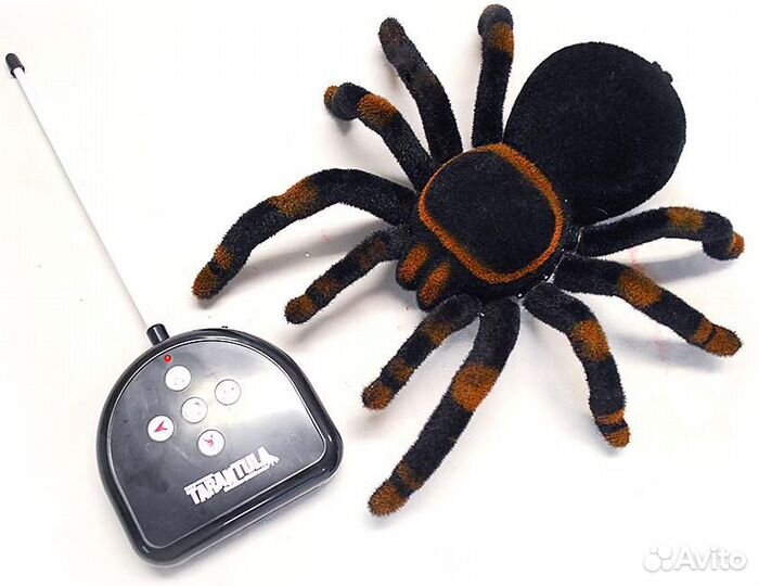 Тарантул на радиоуправлении