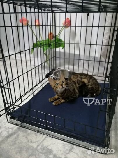 Клетка для животных