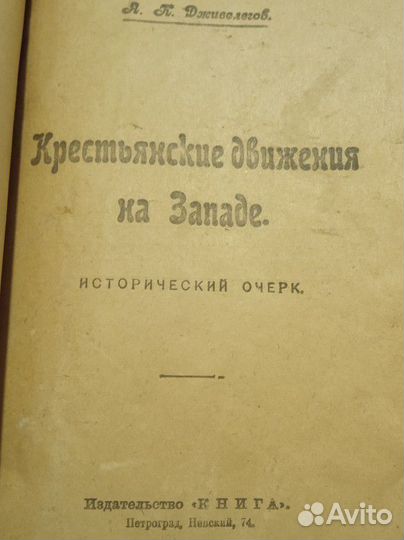 Книга Крестьянские движения на западе 1920г