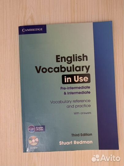 English vocabulary in use