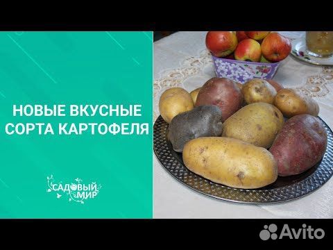Устойчивость к заболеваниям