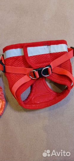 Куртка и жилетка для собак мелких пород