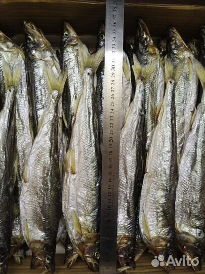 Вяленая корюшка 