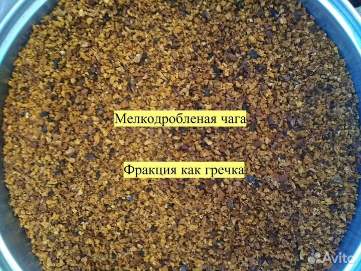 Чага, 1 кг, разные фракции