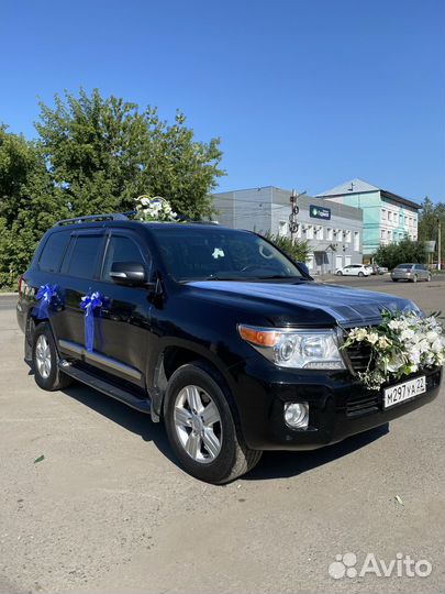 Аренда авто трансфер