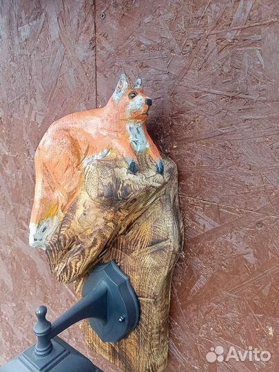 Белка-фонарь