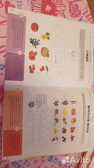 Мегалогика я понимаю мир природы