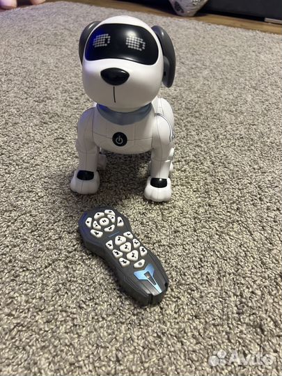 Интерактивная собака