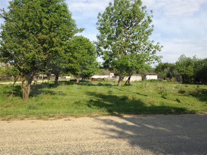 Участок 25 сот. (ИЖС)