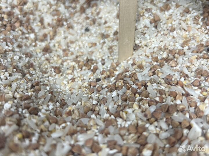 Каша для собак