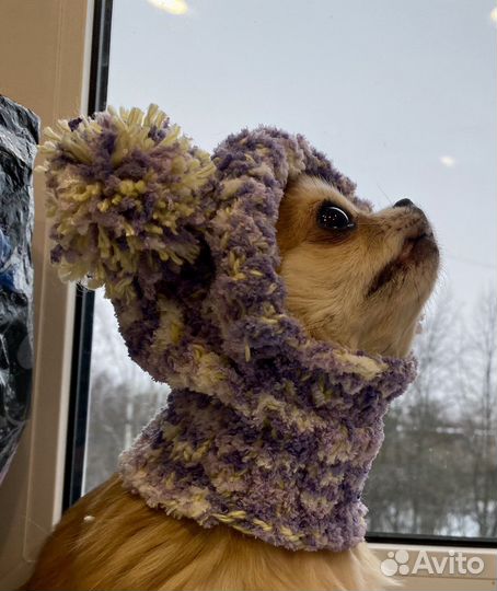 Шапка для собак мелких пород