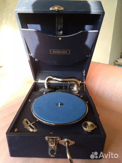 Патифон darling