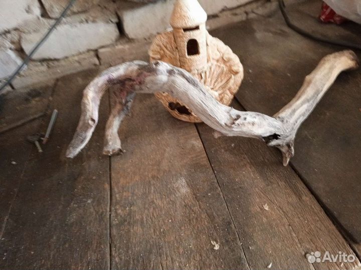 Для Аквариума