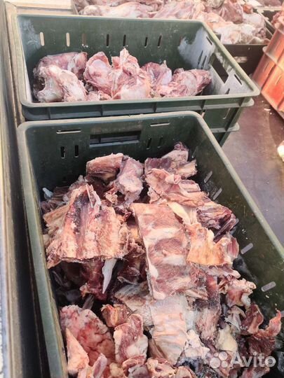 Мясо для собак