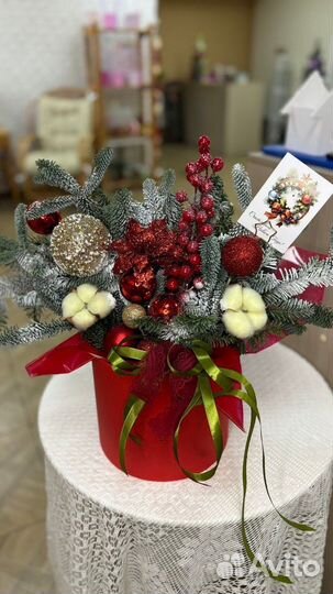 Нобилис в шляпной коробке